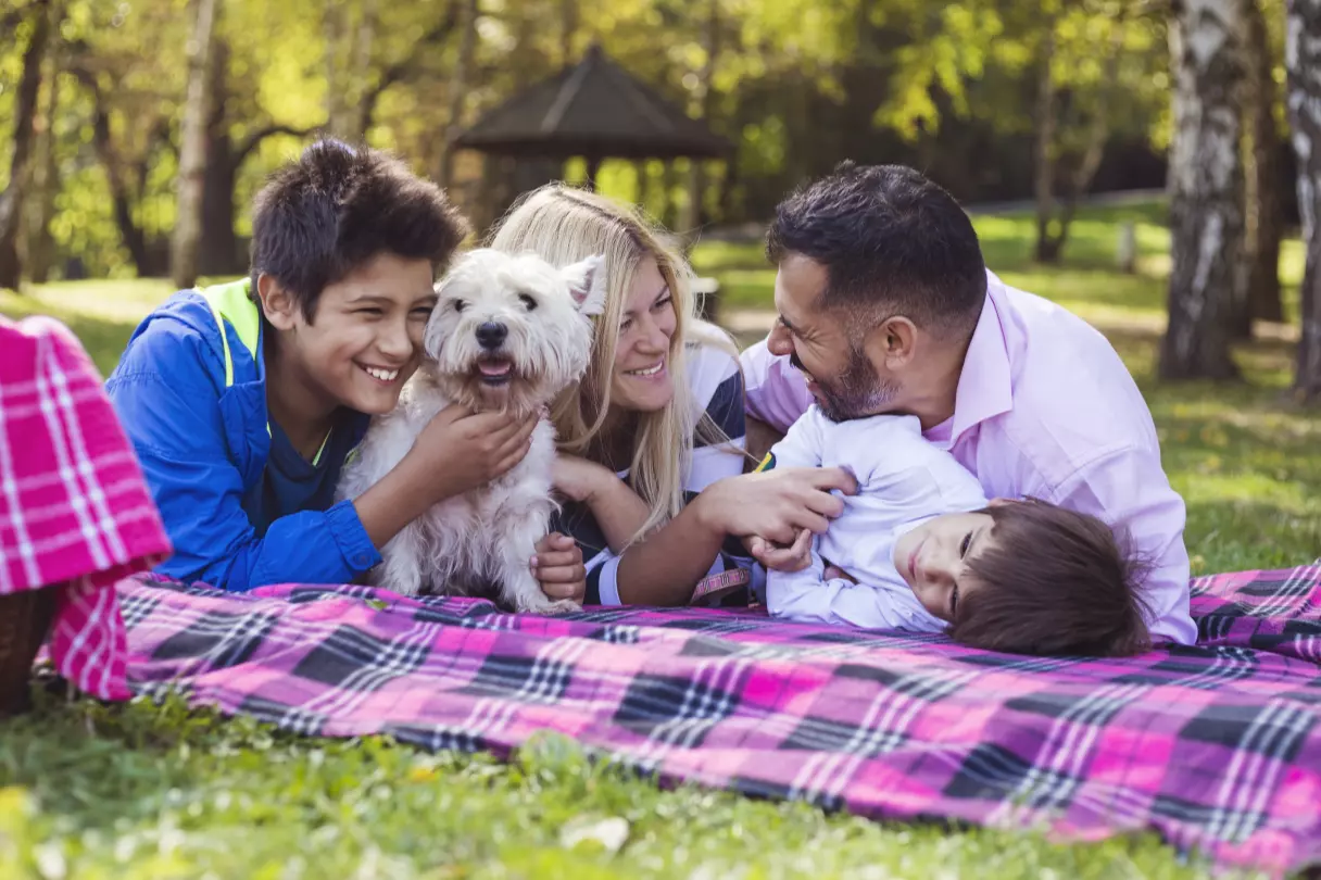 Familia recostada en un campo exterior con su perro