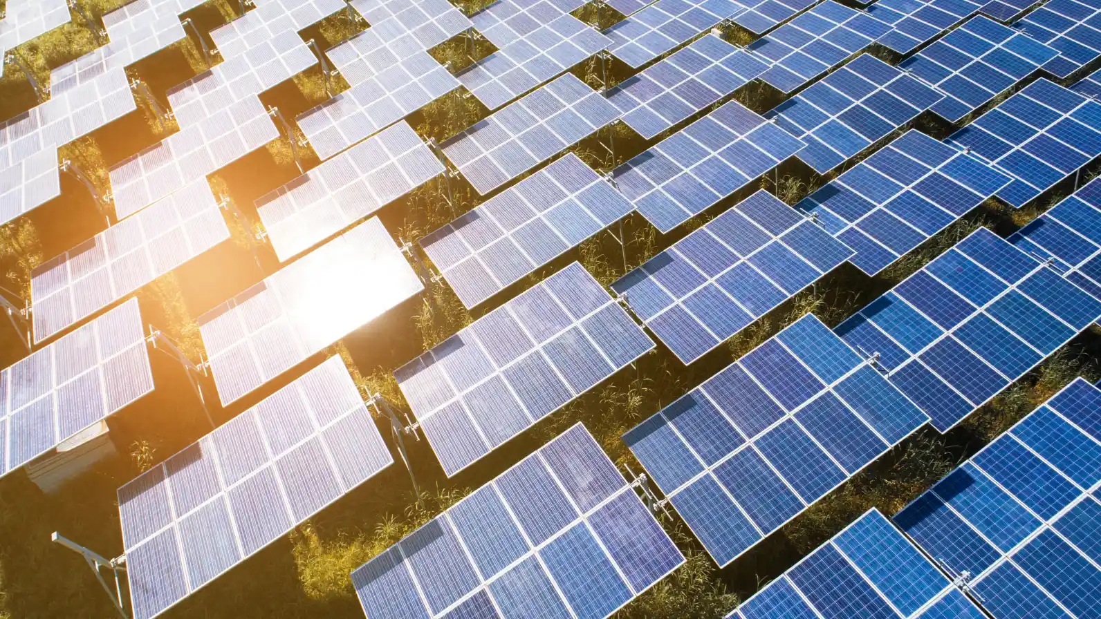 Paneles solares que brillan a la luz del sol, aprovechando la energía renovable de los rayos solares.