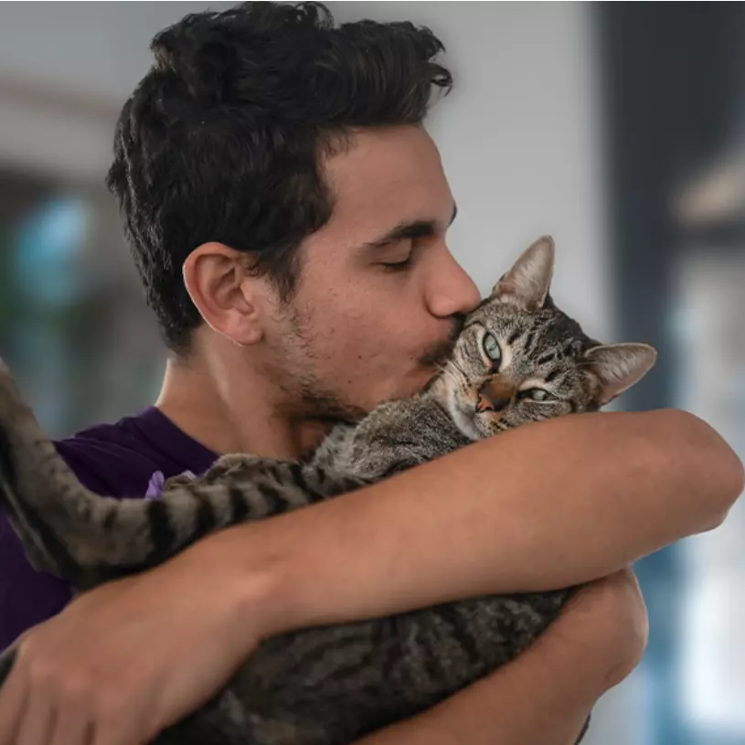 Hombre joven cargando un gato de pie en interiores